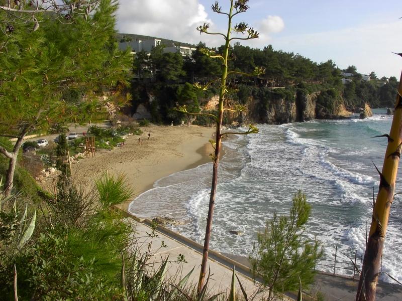 Platis Gyalos beach in Argostoli Kefalonia