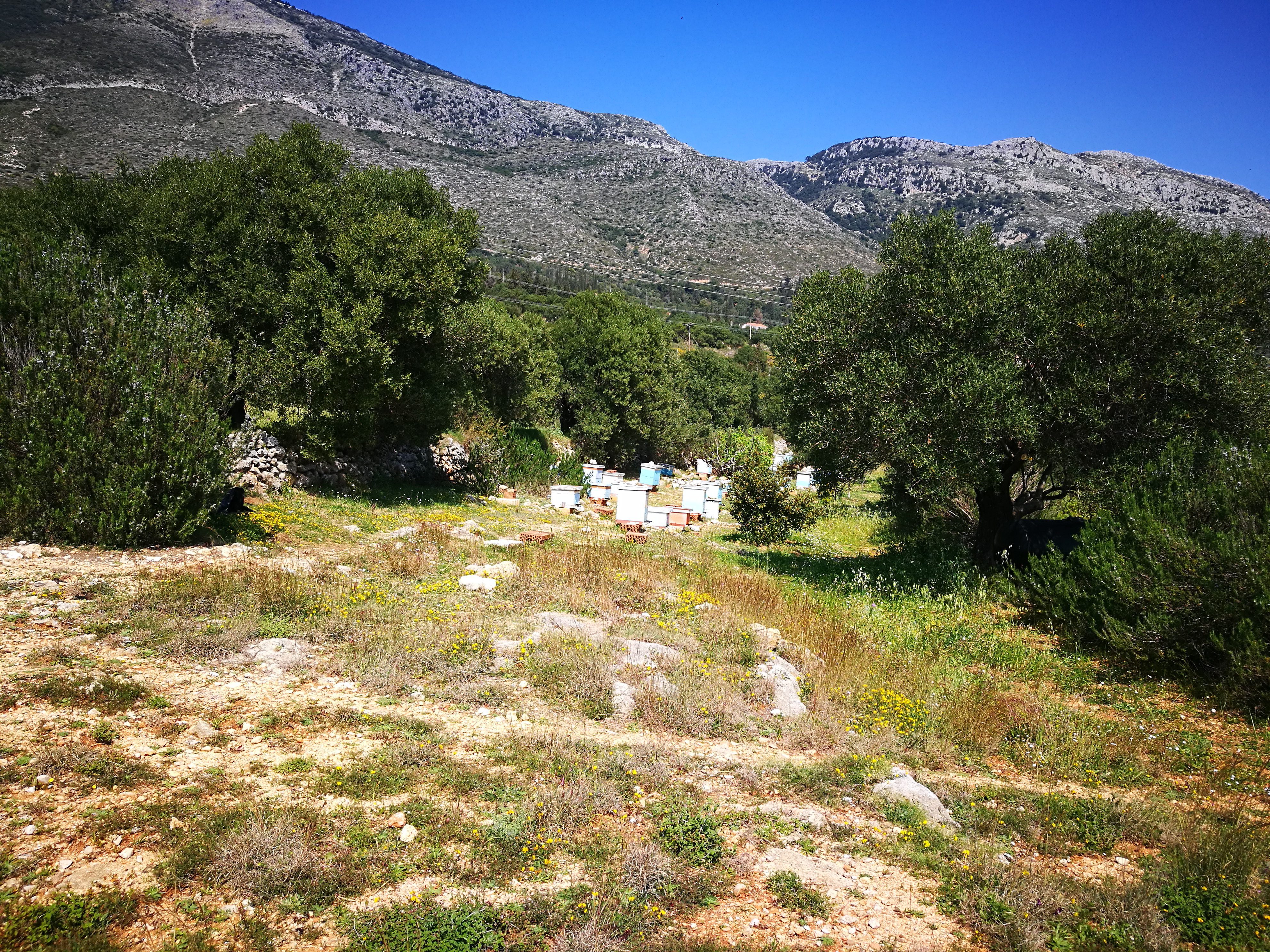 kefalonia property for sale