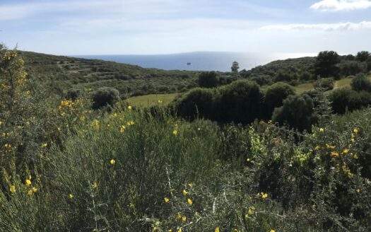 Unique Panoramic & Amphitheatric Plot In Klismata