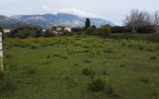 Charimg Plot in Lakithra Village – Prime Location