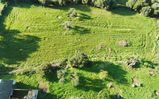 Svoronata Plot For Sale | Kefalonia Real Estate Petersons Group