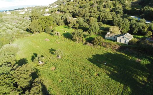 Svoronata Plot For Sale | Kefalonia Real Estate Petersons Group