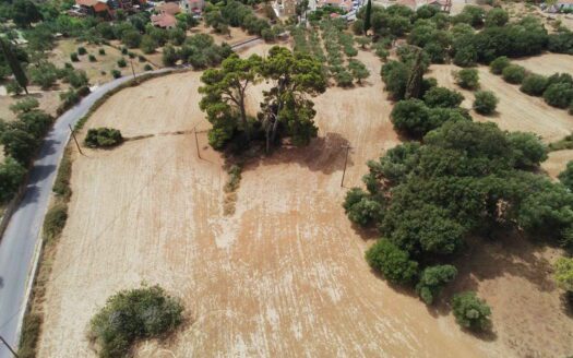 Prime Plot in Pessada Village with Stunning Views & Investment Potential