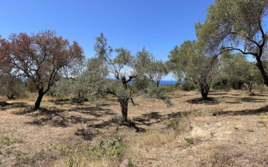 Exclusive Plot for Sale in Leivatho with Stunning Sea Views