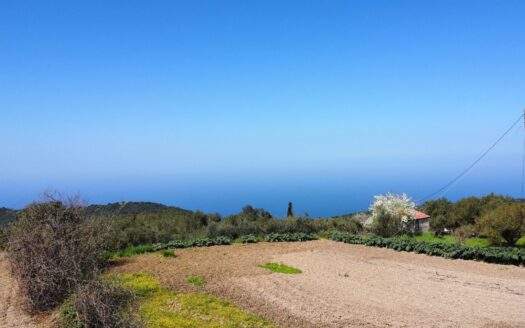 Damoulianata Plot With Stunning Views