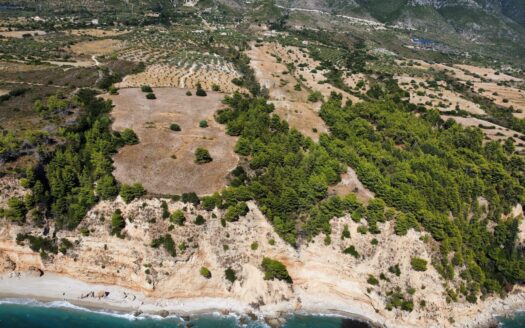 Lourdas Hills Spectacular Plot | One Of A Kind property