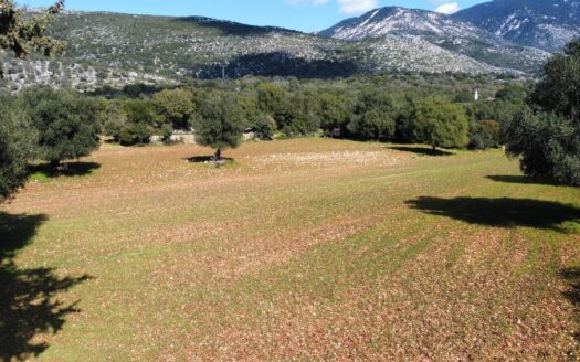 Karavados Area Rural Plot For Sale | Kefalonia Real Estate
