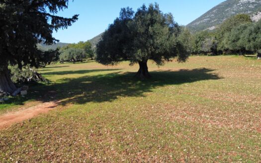 Karavados Area Rural Plot For Sale | Kefalonia Real Estate