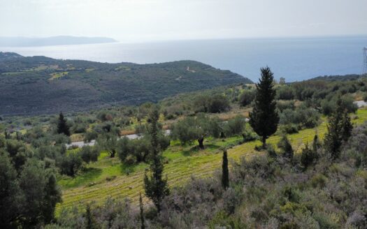 Koroni Hills Area Valeriano Plot For Sale | Kefalonia Properties