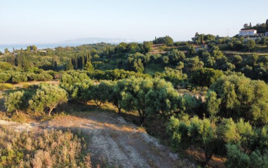 Klismata Hills Amazing Plot For Sale | Petersons Real Estate