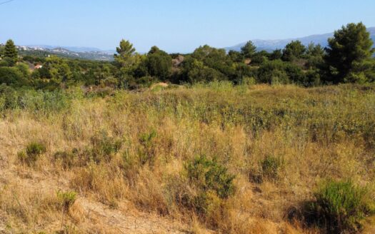 Charming Plot in Lakithra Area