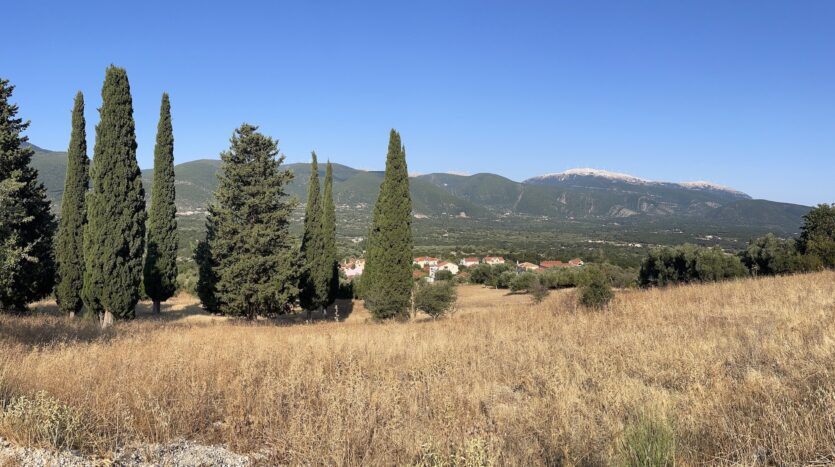 Nest House Project in Sami Off Plan – Smart, Stylish & Expandable Living