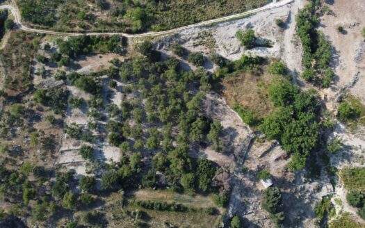 Scenic Countryside Plot with Sea Views in Agkonas