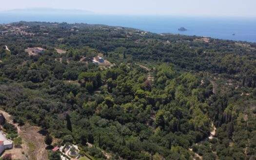 Versatile Plot in Korianna Village | Development Potential