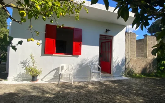 Charming Plot with Small House & Lush Vegetation in Lixouri