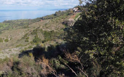 Agkonas Plot Overlooking Zola Bay & Fiscardo